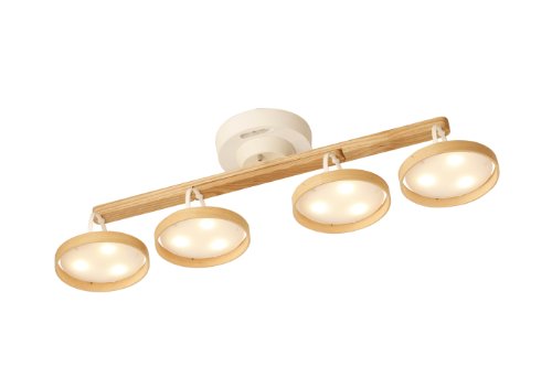 スワン電器 Slimac Another Garden Crux NATURAL ASP-800NA - 通販